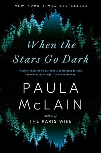 When the Stars Go Dark A Novel