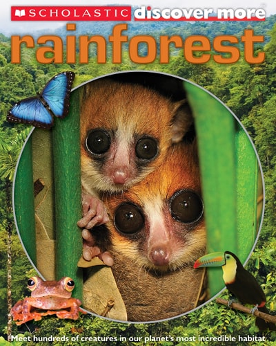Rainforest