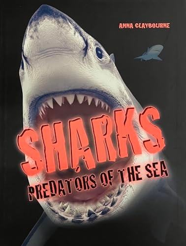 Sharks Predators of the Sea