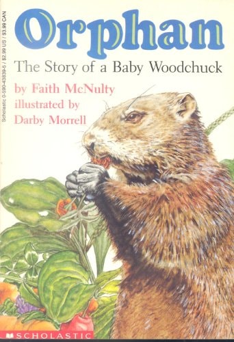 Orphan The Story of A Baby Woodchuck