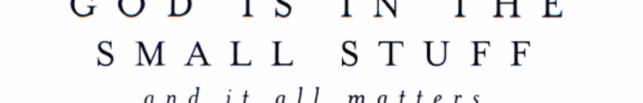 God Is in the Small Stuff (Fcs Members)