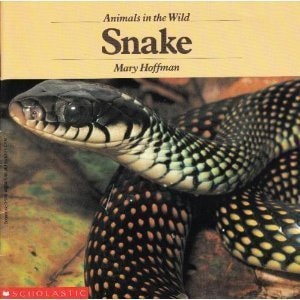 Snake (Animals in the Wild)