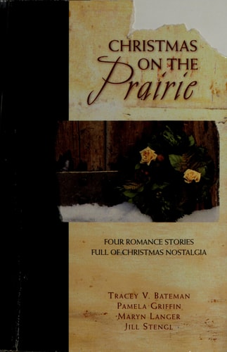 Christmas on the Prairie: Take Me Home/One Wintry Night/The Christmas Necklace/Colder Than Ice (Christmas Anthology)