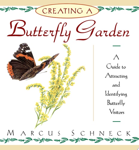 Creating a Butterfly Garden