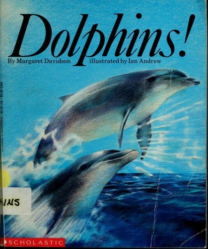 Dolphins!