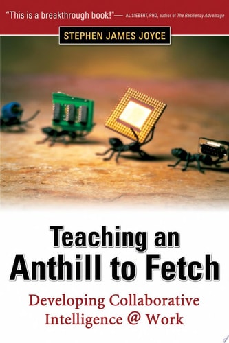 Teaching an Anthill to Fetch: Developing Collaborative Intelligence @ Work