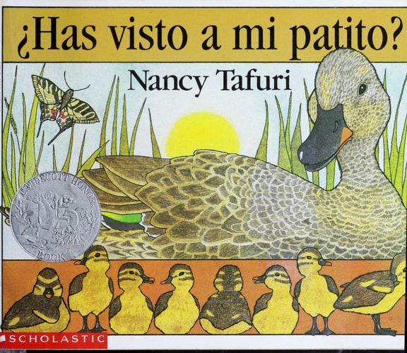 ¿Has visto a mi patito?