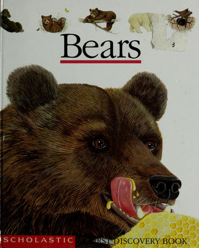 Bears