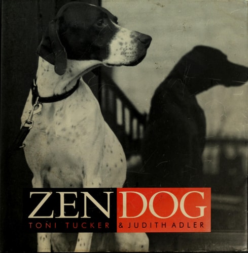 Zen Dog
