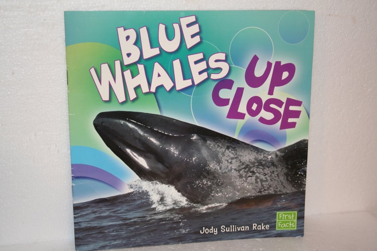 Blue Whales Up Close (Whales and Dolphins Up Close) (First Facts)