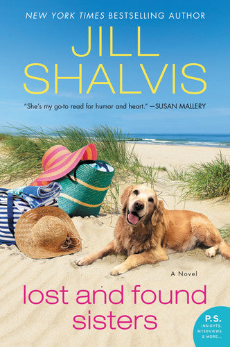 Lost and Found Sisters A Novel