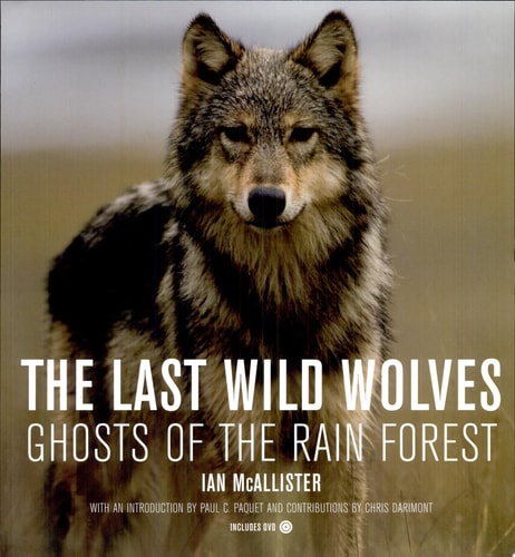 The Last Wild Wolves: Ghosts of the Rain Forest