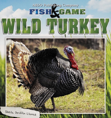 Wild Turkey (Fish & Game)