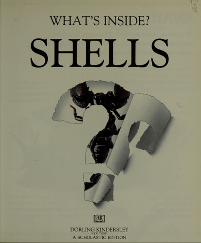 What's Inside? Shells