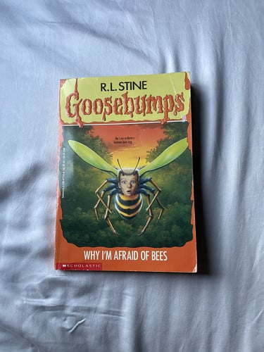 Why I'm Afraid of Bees