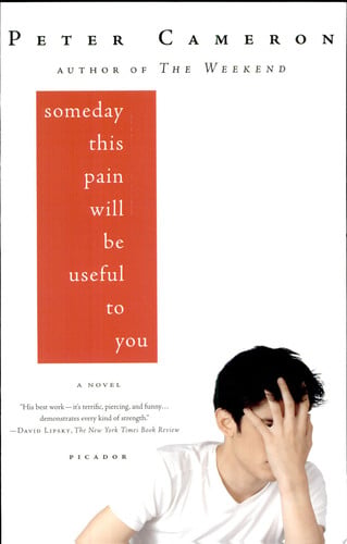 Someday This Pain Will Be Useful to You: A Novel