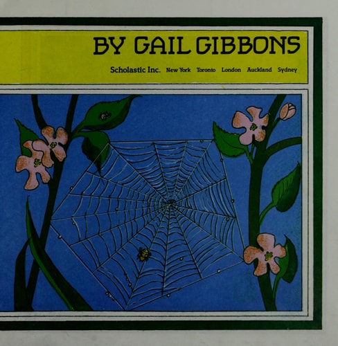 Spiders