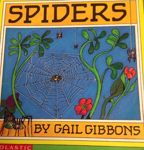 Spiders