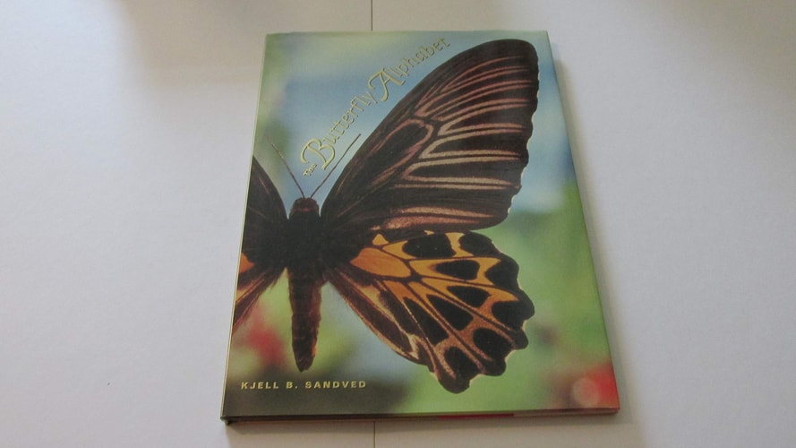 The Butterfly Alphabet