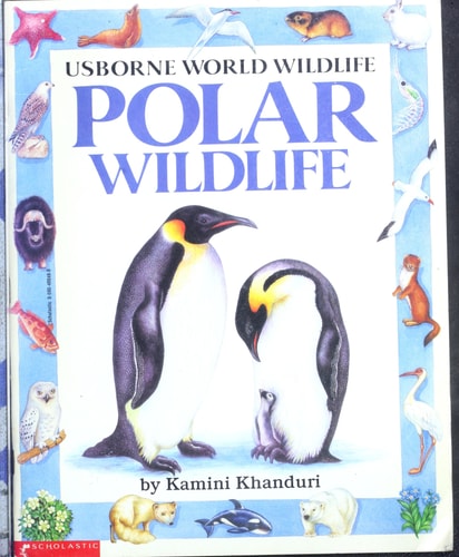 Polar wildlife (Usborne world wildlife)
