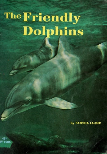 the friendly dolphins