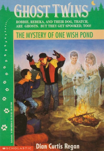 The Mystery of One Wish Pond (Ghost Twins)