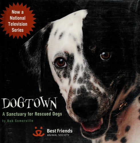 Dogtown: A Sanctuary for Rescued Dogs