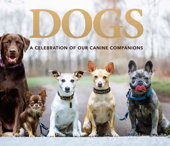 Dogs: A Celebration of Our Canine Companions