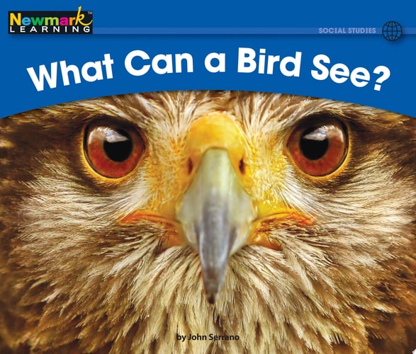 What Can a Bird See? (Rising Readers: Social Studies Set 1: Levels A-d)
