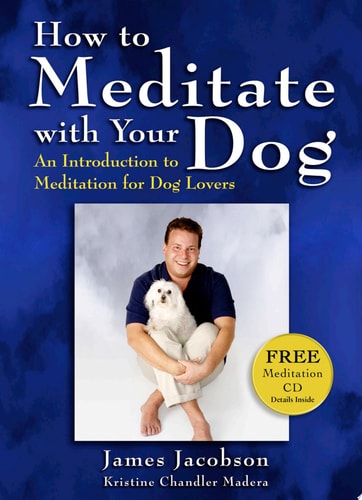 How to Meditate With Your Dog: An Introduction to Meditation for Dog Lovers