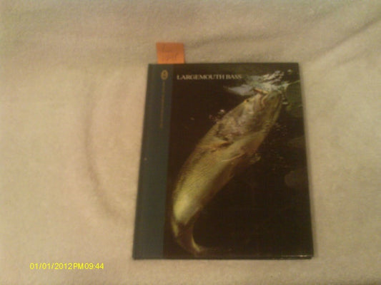 Largemouth Bass