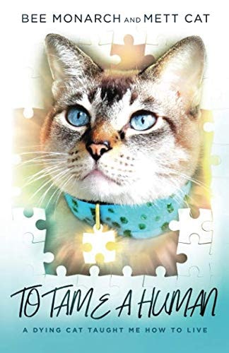 To Tame a Human: A Dying Cat Taught Me How to Live