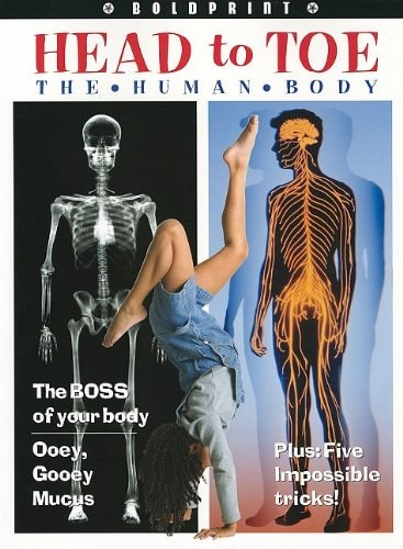 Head to Toe The Human Body