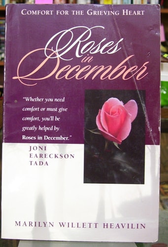 Roses in December