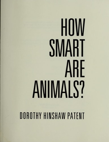 How Smart Are Animals?