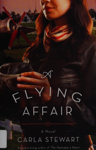 A Flying Affair: A Novel