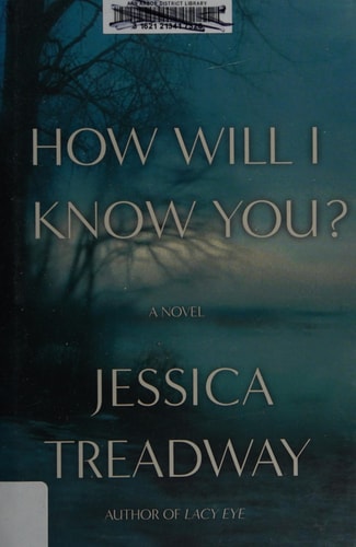 How Will I Know You?: A Novel