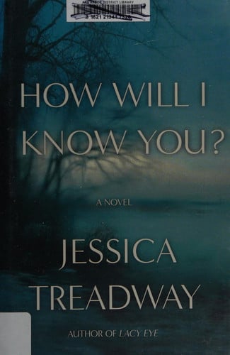 How Will I Know You?: A Novel