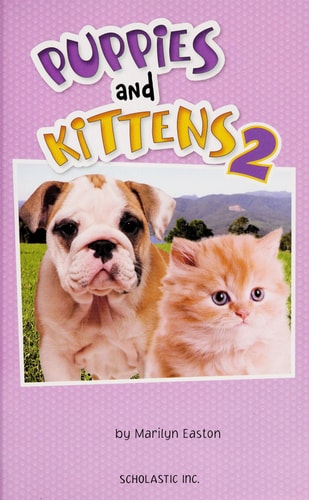 Now You See It! Puppies & Kittens 2