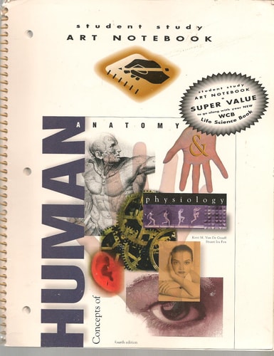 Student Study Art Notebook for Concepts of Human Anatomy & Physiology, 4th edition