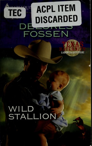 Wild Stallion
