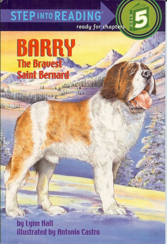 Barry, the Bravest Saint Bernard
