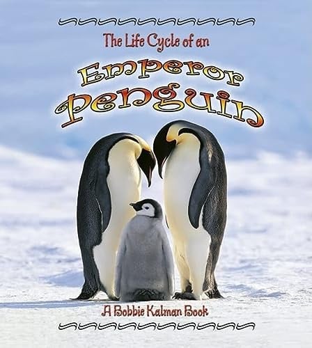 The life cycle of an emperor penguin