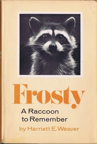 Frosty a raccoon to remember