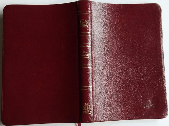 Nasb Ultrathin Reference Bible (American Standard Bible)
