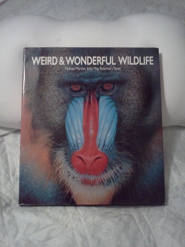 Weird & Wonderful Wildlife