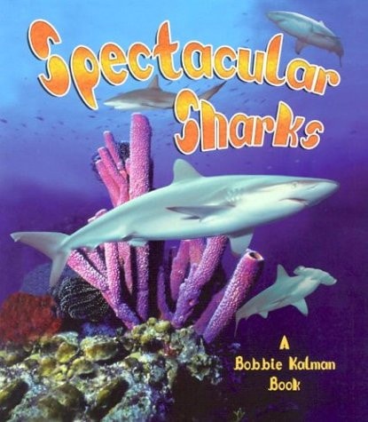 Spectacular Sharks (Living Ocean)