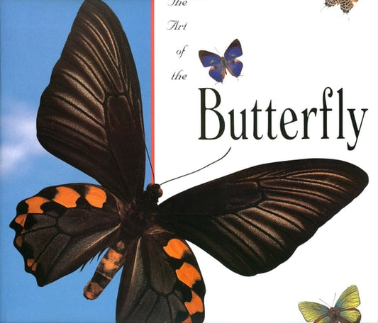 The Art of the Butterfly