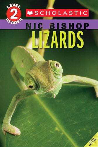 Lizards (Nic Bishop: Scholastic Reader, Level 2)