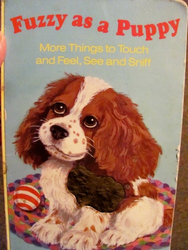 Fuzzy As a Puppy